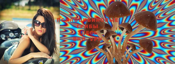 марки lsd Мегион